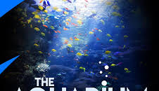 The Aquarium (S2 E5)