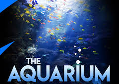 The Aquarium