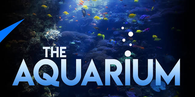07:40: The Aquarium (S2 E2) (S2) | Animal Planet | 12/4 2025