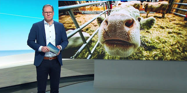 09:00: Nordmagazin | NDR Fernsehen | 1/19 2026