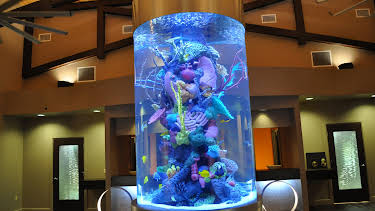 02:30: Tanked (S3 E5) (S3) | Animal Planet | 1/6 2026