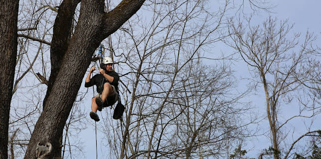 00:45: Grace VanderWaal's Got Treehouse (S6 E11) (S6) | Animal Planet | 12/2 2025