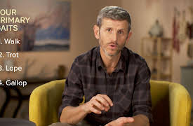 Nature Watching: How to Find and Observe Wildlife: Gaits: How Animals Walk and Run