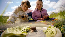 Tiere bis unters Dach (137)