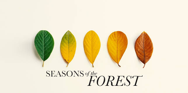 Seasons of the Forest (2025)