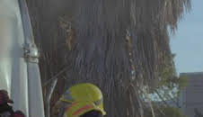 Control de carreteras: Episodio 17