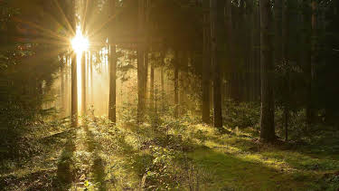 04:05: Burgen, Wälder, Nebelfelder - Thüringen nonstop | MDR Fernsehen | 4/4 2026