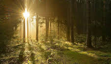 Burgen, Wälder, Nebelfelder - Thüringen nonstop