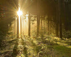 Burgen, Wälder, Nebelfelder - Thüringen nonstop