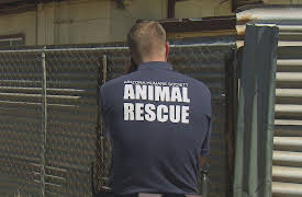 Animal Cops: Phoenix: Episode 1