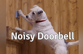Dog Years: Noisy Doorbell