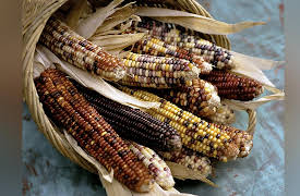 Ancient Civilizations of North America: Late Archaic Innovations