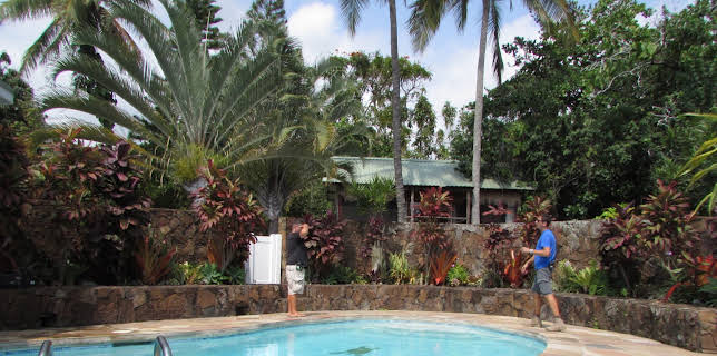 07:20: Husjakt på Hawaii (S10 E7) (S10) | VOX | 10/27 2025