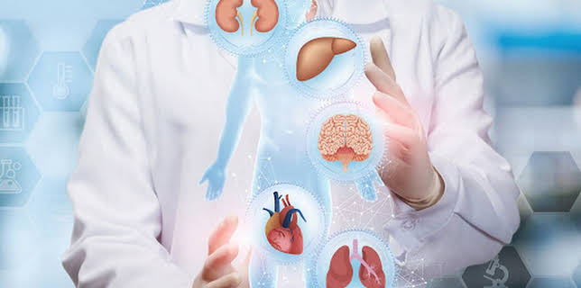 12:30: Stille Entzündungen was hilft wirklich? | SWR Fernsehen RP | 12/6 2025