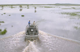 Wild Croc Territory: O nadas o te hundes