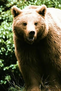 15:15: Pociones de amor salvaje | La Otra | 4/2 2026