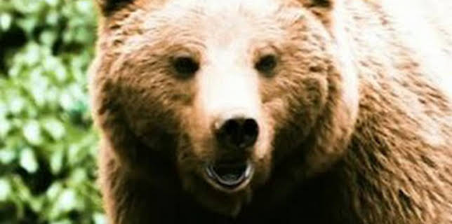 15:39: Pociones de amor salvaje | La Otra | 2/14 2026