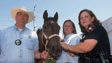 03:00: Animal Cops Houston (S9 E13) (S9) | Animal Planet | 4/2 2026
