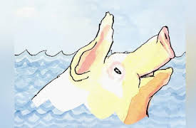 Key Wilde: Big Pet Pig