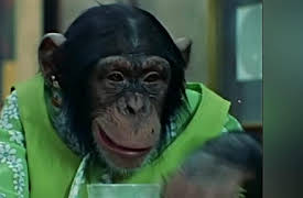 Lancelot Link: Secret Chimp: Lancelot Link: Secret Chimp - The Chump Code Caper / Weather or Not
