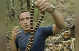 The Jeff Corwin Experience: Season 1: Arizona: Land of the Serpent