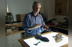 History Of Life Series: A Study In Evolution: The Landing, From Sea to Land and Back