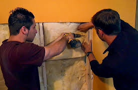 Disaster House: Shake, Rattle and Roll