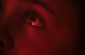 The Ghost Inside My Child: Plane Crash And Sacred Ash