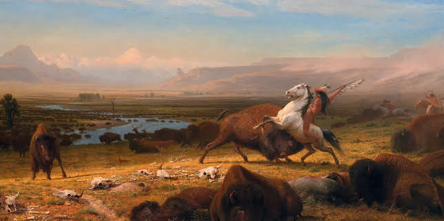 20:15: Der Amerikanische Bison (1/2) | Arte | 2/21 2026