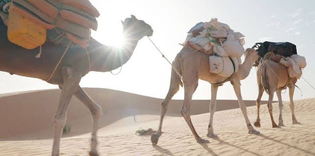 20:15: Länder - Menschen - Abenteuer | ARD Alpha | 2/9 2026