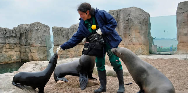 17:10: Seehund, Puma & Co. (121) | NDR Fernsehen | 3/16 2026