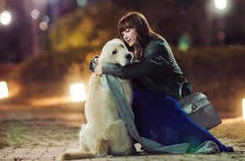 Romance Is a Bonus Book: Episode 4