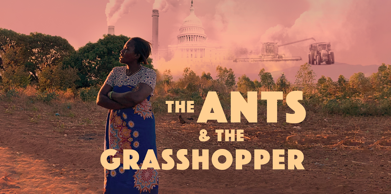 The Ants & the Grasshopper (2023)