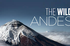 The Wild Andes: Life in the Clouds