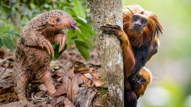 3:30 PM: Big Little Journeys (S1 E2) (S1) | BBC Two | 3/27 2026