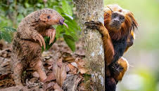 Big Little Journeys (S1 E2)