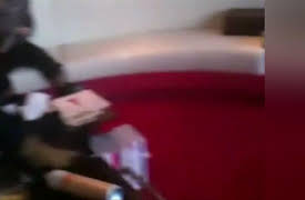 Natural Disasters Collection Season 1: Witness: Disaster in Japan