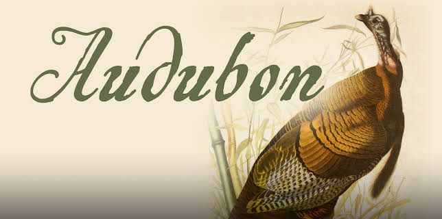 Audubon (2017)