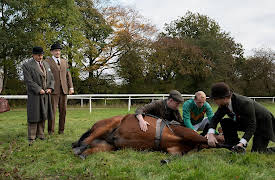 All Creatures Great and Small, Season 1: Andante