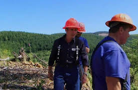 Richard Hammond's Crash Course Season 1: Tree Harvester