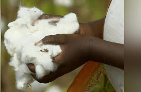 Living the French Revolution and the Age of Napoleon: France, Global Commerce, and Colonization