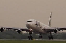 Flying Through Time: Evolution