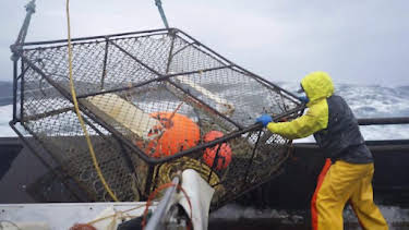 1:00 AM: Deadliest Catch (S19) | Discovery Channel | 9/16 2026