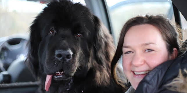 19:20: Der Super-Doc - Einsatz für 4 Pfoten | Sixx | 1/18 2026