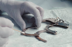 Fallet Birgit Meier: Avsnitt 4