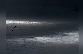 Frozen Planet Season 1: Autumn, Part 2