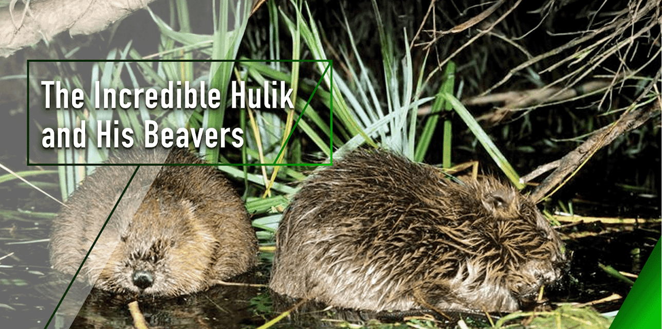 The Incredible Hulik and His Beavers (2002)
