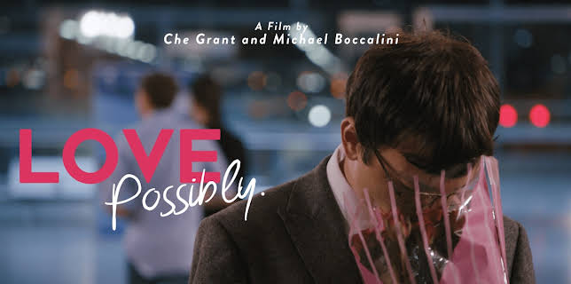 Love Possibly (2019)