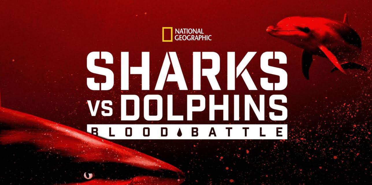 Sharks vs. Dolphins: Blood Battle (2020)