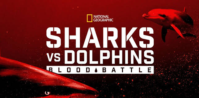 Sharks vs. Dolphins: Blood Battle (2020)